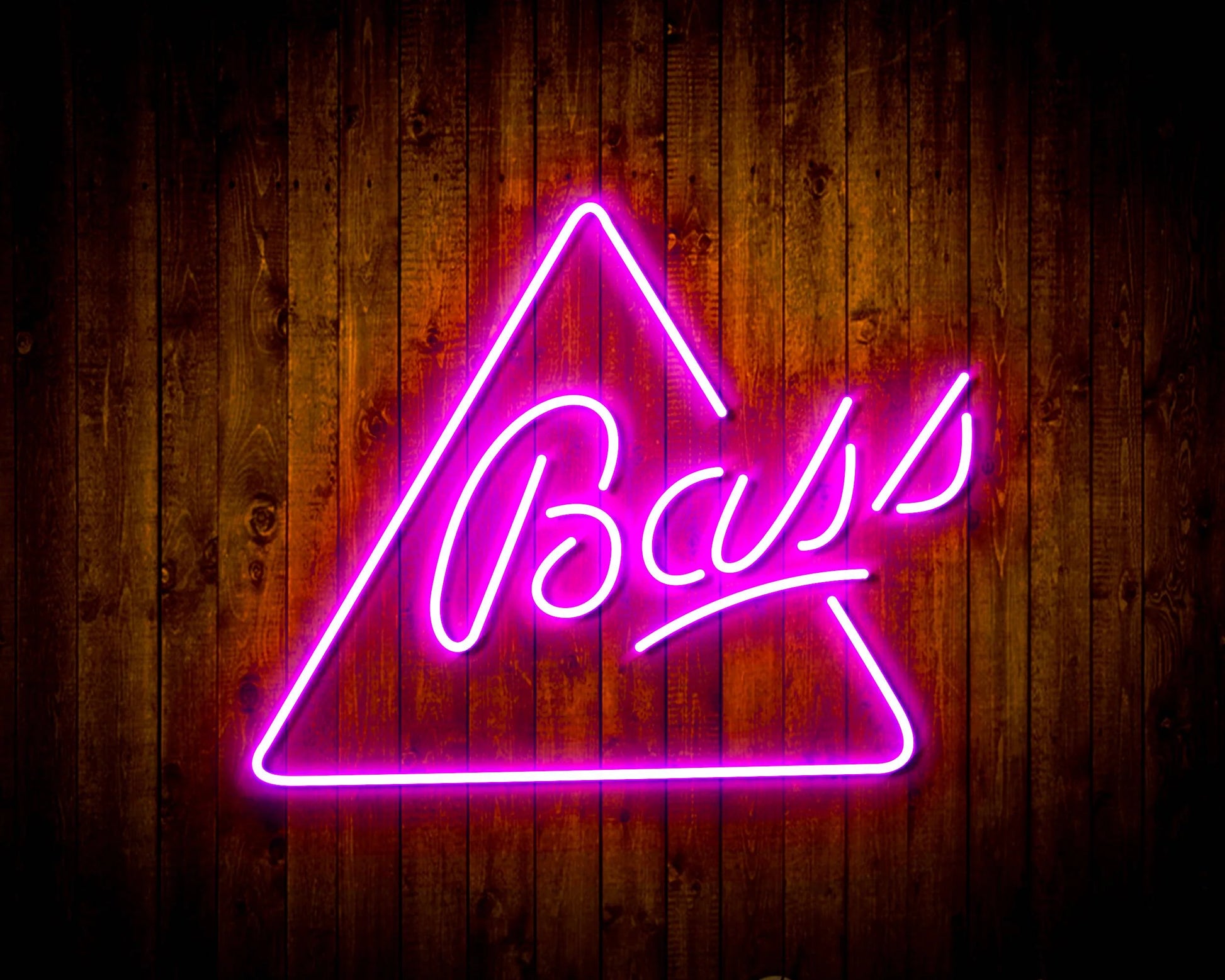 bass neon sign